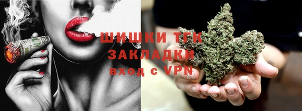 сатива Покачи