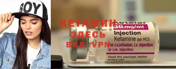 сатива Покачи