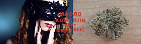 сатива Покачи