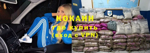 сатива Покачи