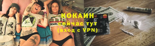 сатива Покачи