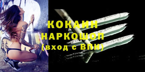 тгк Пестово