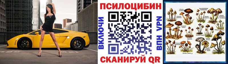 Галлюциногенные грибы MAGIC MUSHROOMS  наркота  shop наркотические препараты  Рассказово 